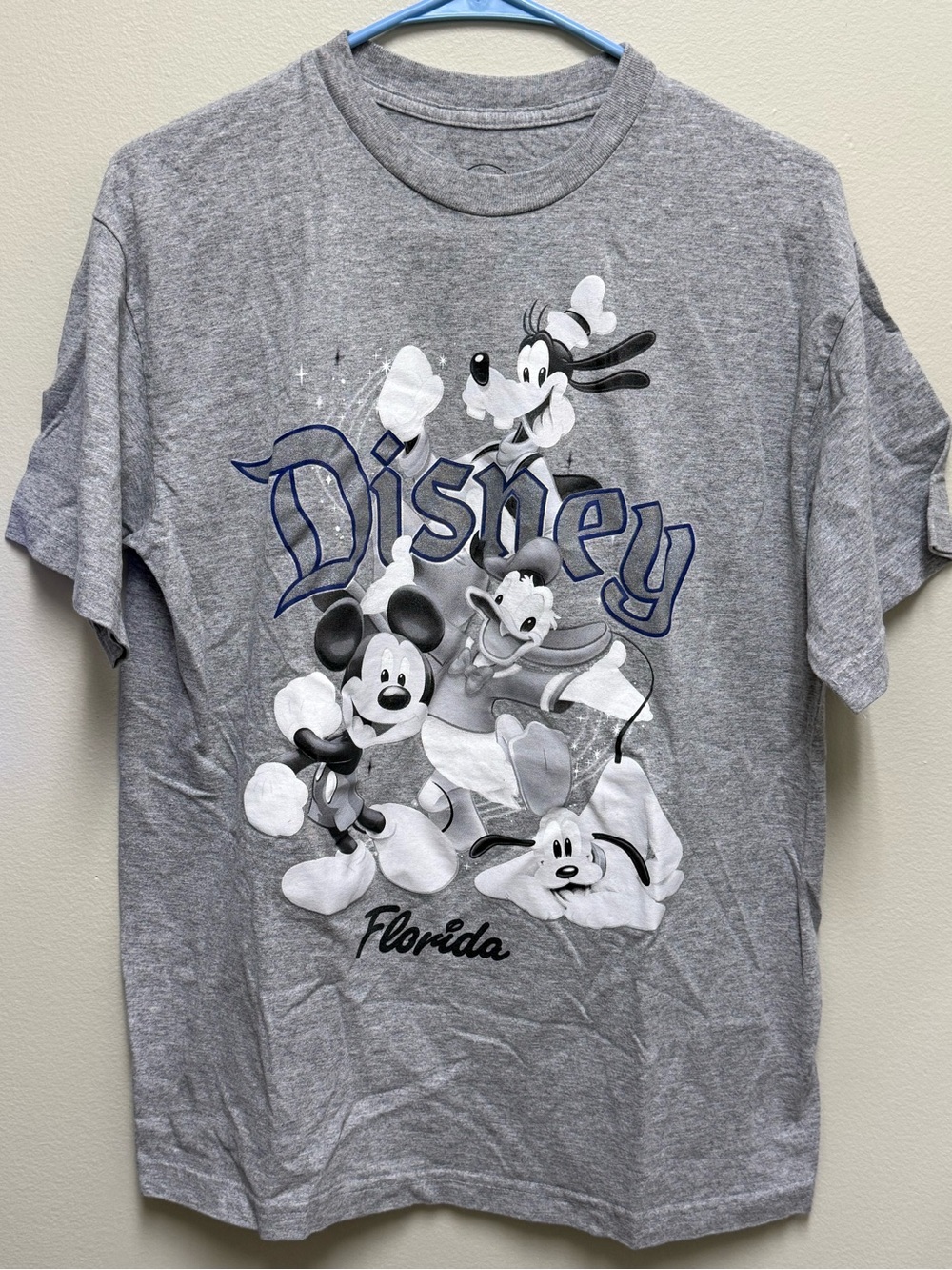 Disney Florida Men’s/Unisex Mickey, Donald, Goofy, and Pluto Gray Large T-shirt